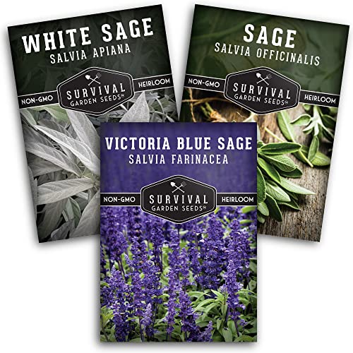 Survival Garden Seeds Sage Collection Seed Vault - White Sage S...
