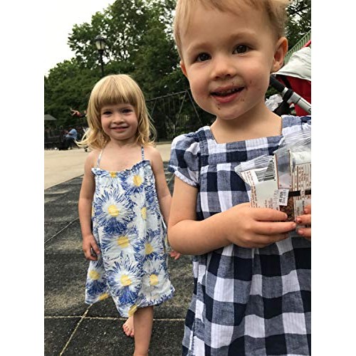 Susies Smart Breakfast Cookie -- Banana Coconut Box Of 18