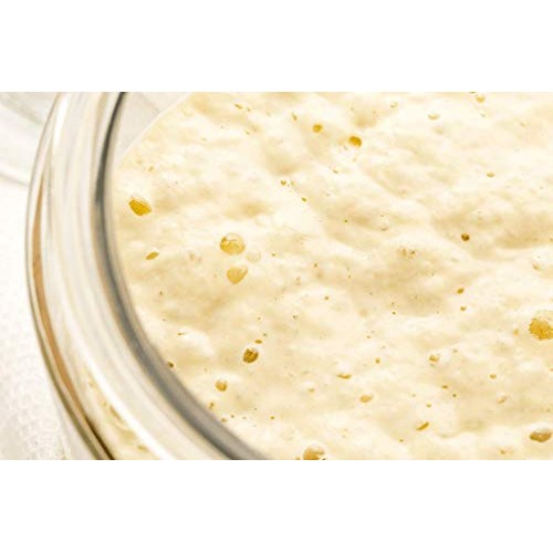 Gluten Free Sourdough Starter