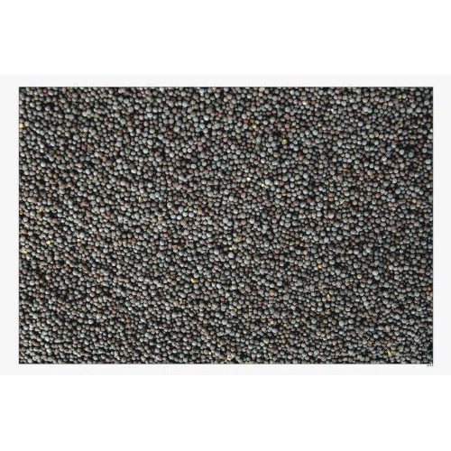 Indian Spice Mustard Seeds 7Oz-