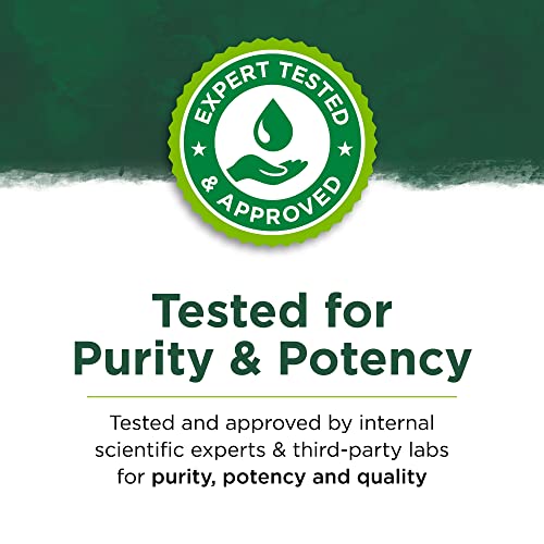 Swanson Turmeric Tea 20 BagS