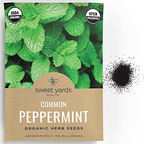 Organic Peppermint Seeds – Seed Packet of Over 1,000 Open Pollin...