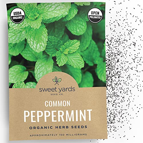 Organic Peppermint Seeds – Seed Packet of Over 1,000 Open Pollin...