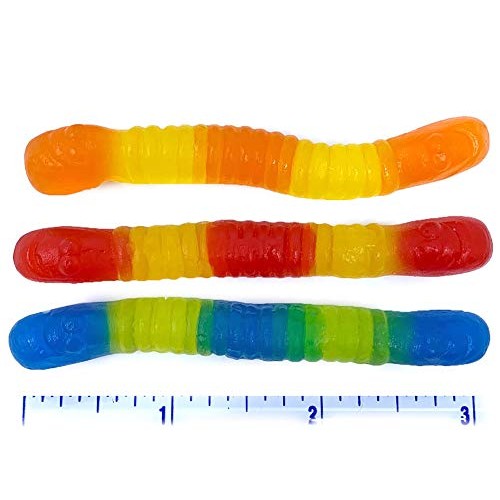 Sweetgourmet Sugar Free Gummy Candy Worms | 1 Pound