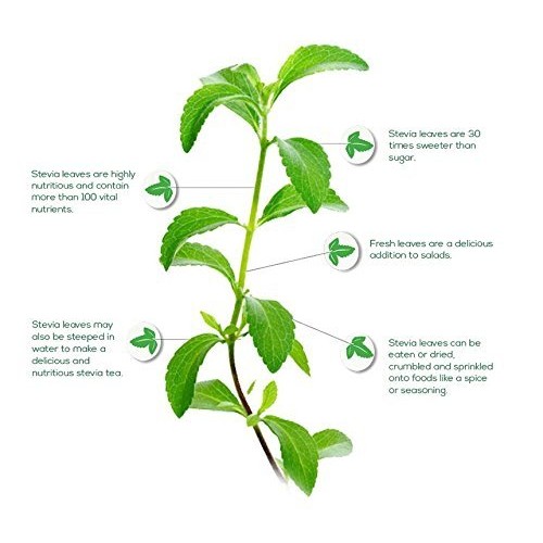 Sweetleaf Stevia - Variety Pack, Natural Flavored Water Enhancer