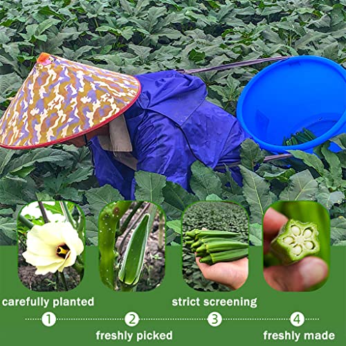 SXET 2 Packs Okra Chips Snacks, Freeze Dried Okra Crisps, Dehydr...