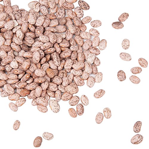 Dried Pinto Beans - 20 Lb. By Tabletop King