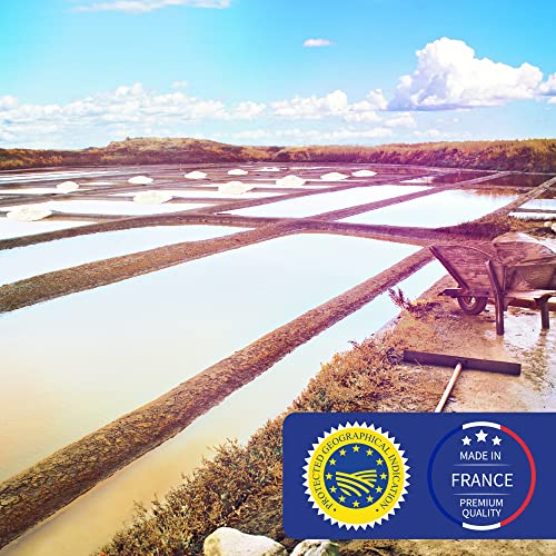 Fine Sea Salt From France - Celtic Sea Salt With Built In Sea Sa