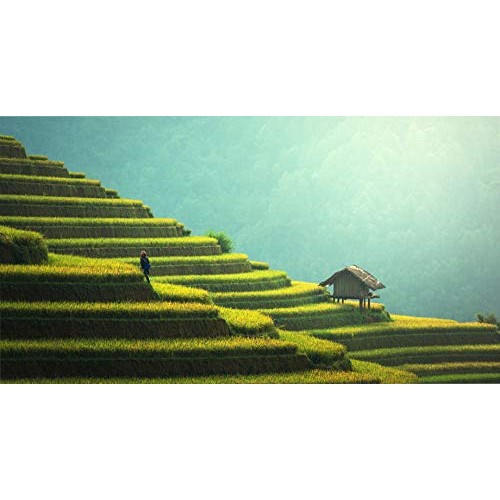 Matcha Green Tea, 3Oz Matcha Powder Per Package, Organic, Rich I