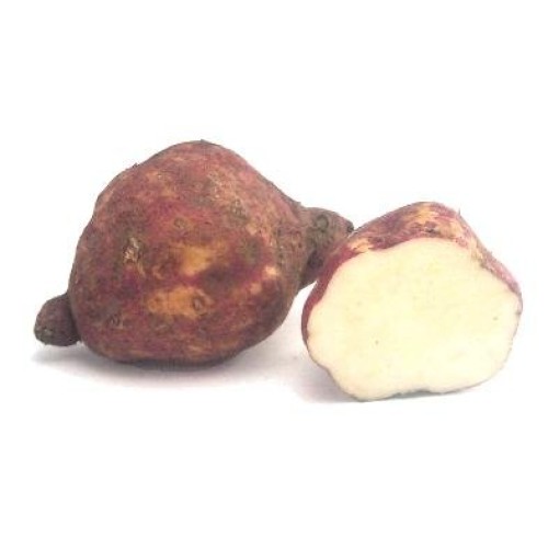 Fresh Boniato Camote,Batata Cuban Or Tropical Sweet Potato 3Lbs