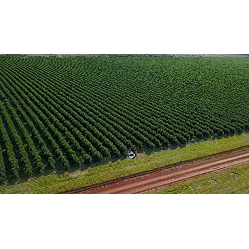 Taragüi Yerba Mate with Stems, 500 gr - 1.1 lbs Red Pack