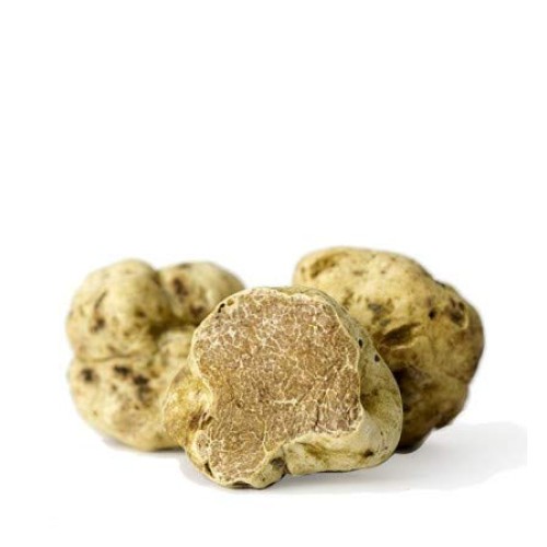 White Truffle Mushroom Tartufata Sauce From Italy, 3.1 Oz By T