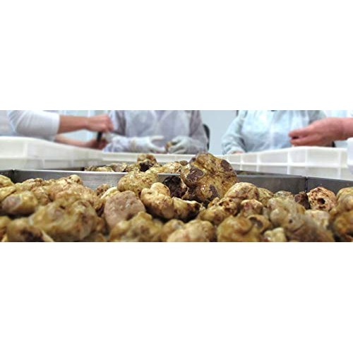 Parmigiano Reggiano Cheese Cream With Truffle