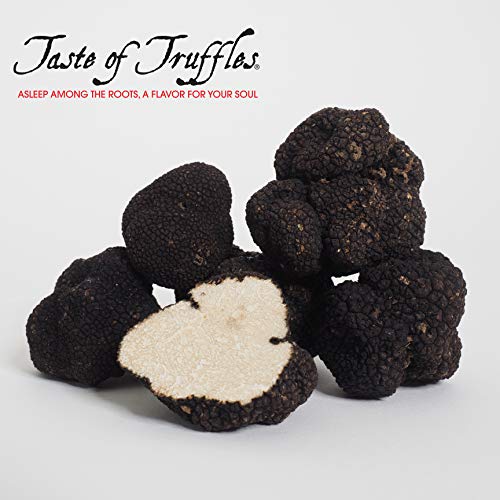 Fresh Summer Truffle Tuber Aestivum 4 Ounces