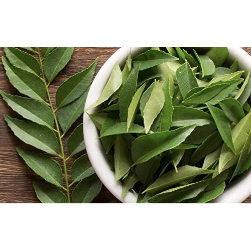 Fresh Curry Leaves 2 Oz. No Steams