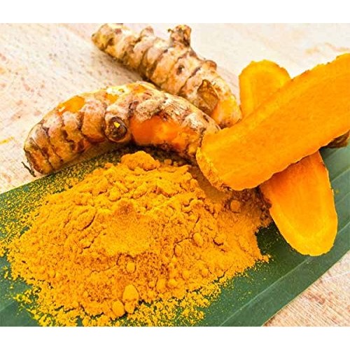 Fresh Yellow Turmeric Root - 3 Lbs.