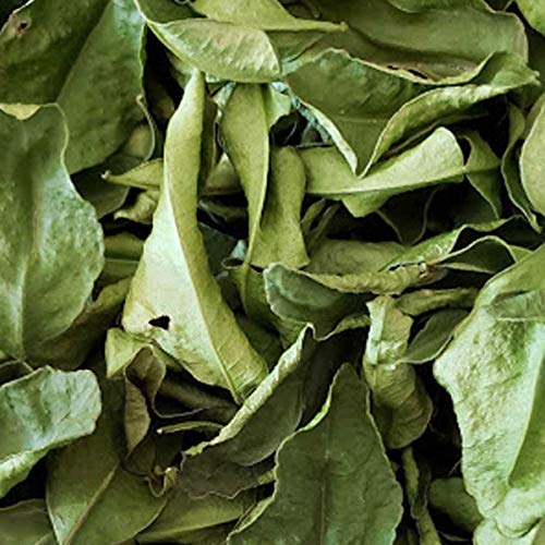 Natural Dried Organic Kaffir Lime Leaves 1 Oz From Tastepadthai