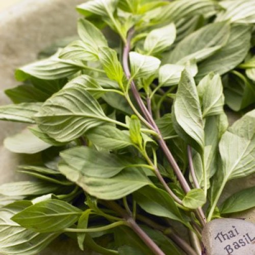 Thai Sweet Basil Fresh 14 Oz.