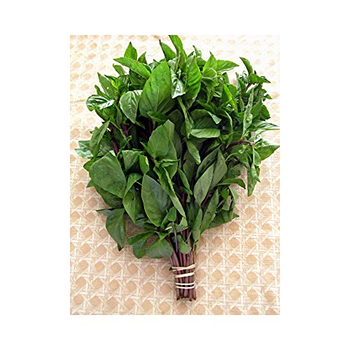 Thai Sweet Basil Fresh 1/2 Lb 8 Oz.