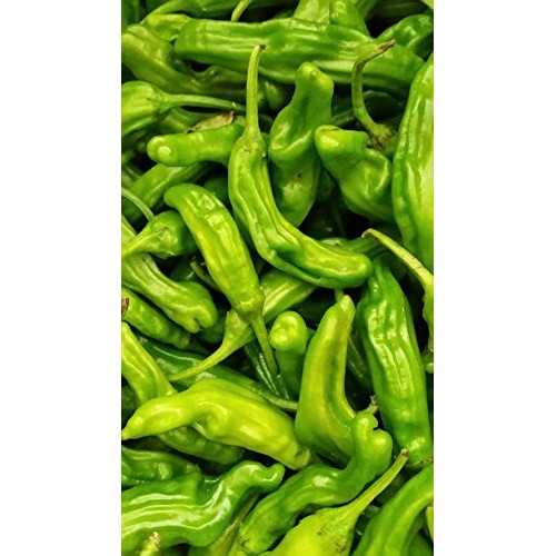 Fresh Shishito Chili Peppers 2 Lbs.