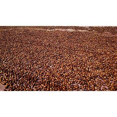 Capomo Herbal Coffee Substitute - Acid Free, Caffeine Free And G