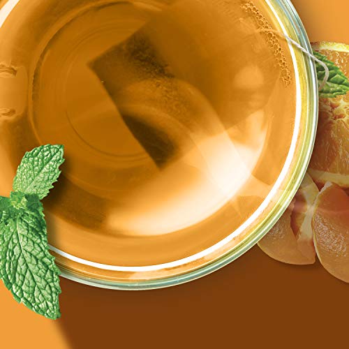 Tazo Herbal Tea Tea Bags For A Citrus Beverage Wild Sweet Orange