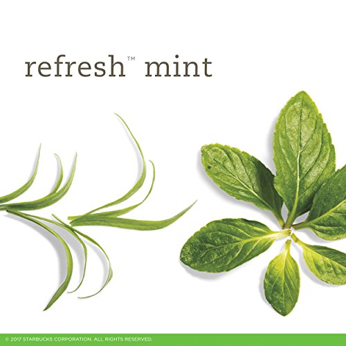Tazo Refresh Mint Herbal Tea Filterbags 20 Count