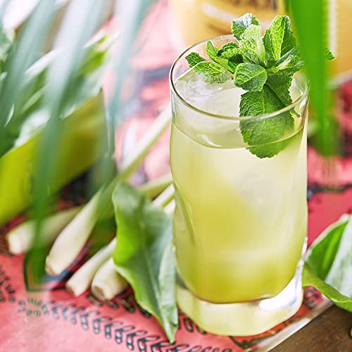 Tazo Unsweetened Iced Green Tea Concentrate For a Refreshing Ice...