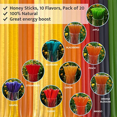 Twinings Tea Sampler Set 12 Flavors Assortment 48 Assorted Tea B...