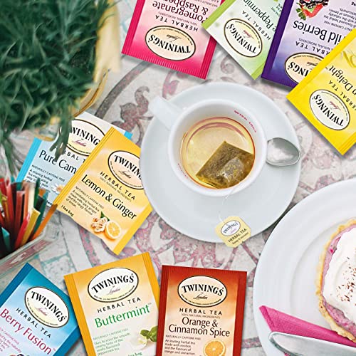 Twinings Tea Sampler Set 12 Flavors Assortment 48 Assorted Tea B...