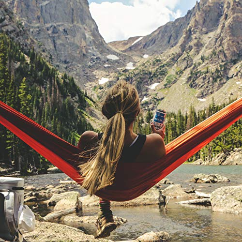 Teakoe Fizzy Tea | 100% Organic Black Tea W/ Raw Honey &Amp; Lemon |