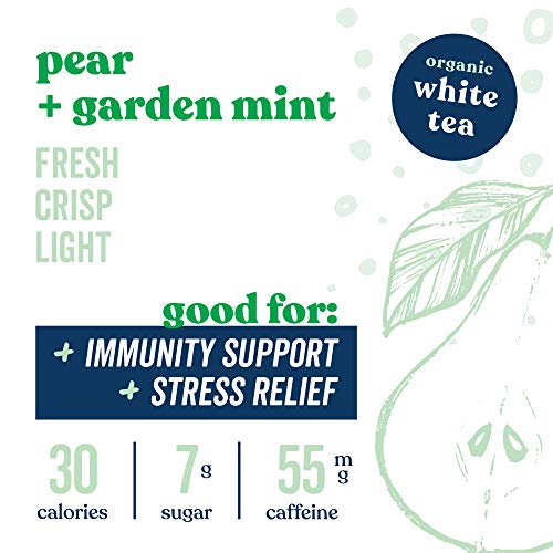 Teakoe Fizzy Tea | 100% Organic White Tea W/ Raw Honey | Truly B