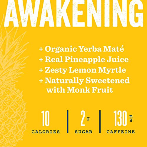 Teakoe Fizzy Tea | 100% Organic Yerba Maté W/ Pineapple &Amp; Lemon