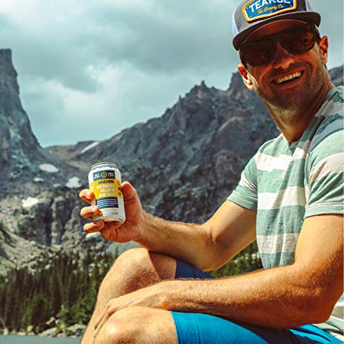 Teakoe Fizzy Tea | 100% Organic Yerba Maté W/ Pineapple &Amp; Lemon