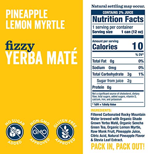 Teakoe Fizzy Tea | 100% Organic Yerba Maté W/ Pineapple &Amp; Lemon