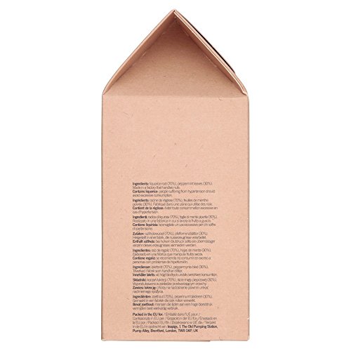 Teapigs Liquorice And Peppermint Tea Bags Made With Whole Leaves