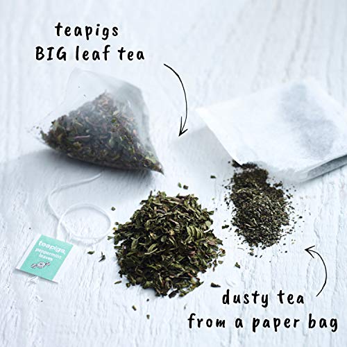 Teapigs Peppermint Leaves Tea Bags Made With Whole Leaves 1 Pac