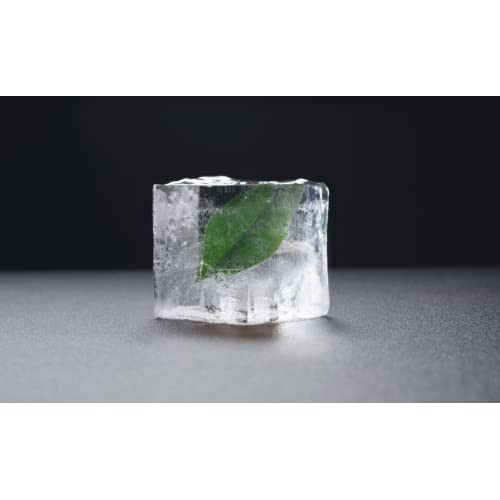 Teas Tea Organic Cold Brew Unsweetened Green Tea Pack Of 12 O