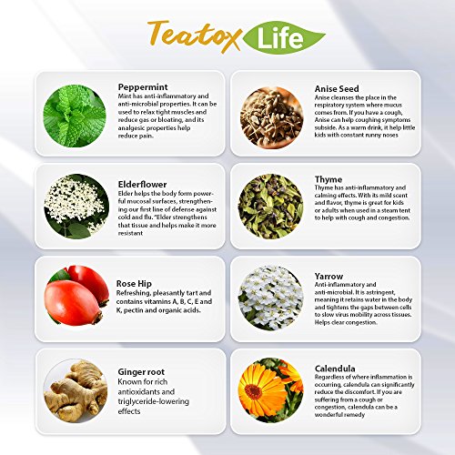 Elderberry Tea With Calendula, Yarrow, Rosehip, Thyme, Peppermin