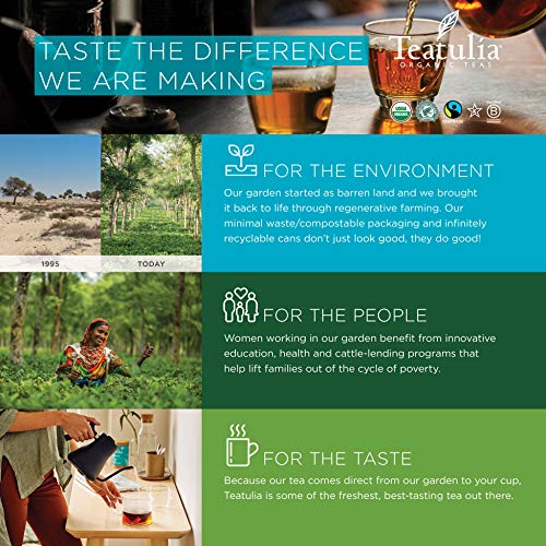 Teatulia Organic Black Tea, 50 Loose Leaf Premium Corn Silk Pyra