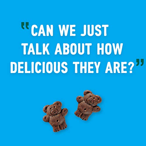 Teddy Grahams Chocolate Graham Snacks, 6 - 10 Oz Boxes
