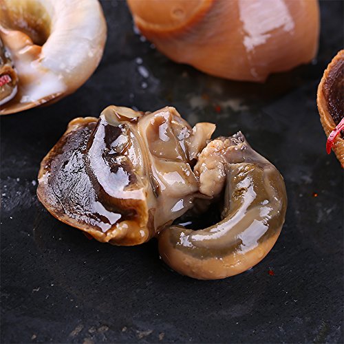 Teriya The Lang Yu Screw 500 Grams Shipping Dandong Specialty Se