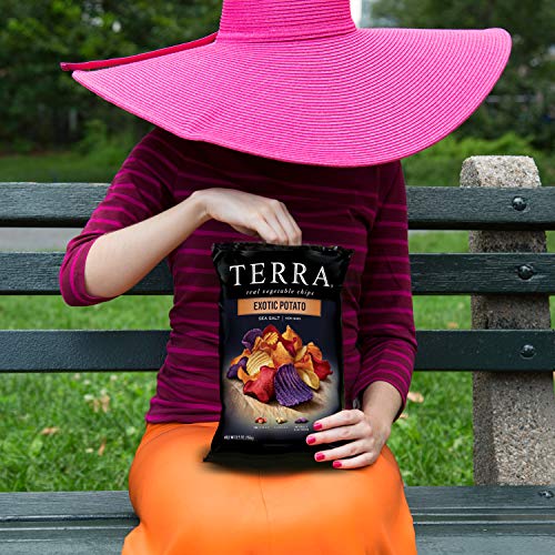 Terra Exotic Potato Chips With Sea Salt, 5.5 Oz. Pack Of 6