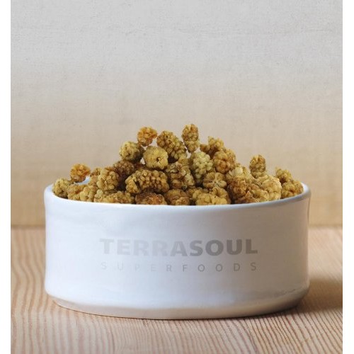 Terrasoul Superfoods Organic Sun-Dried White Mulberries, 2 Lbs
