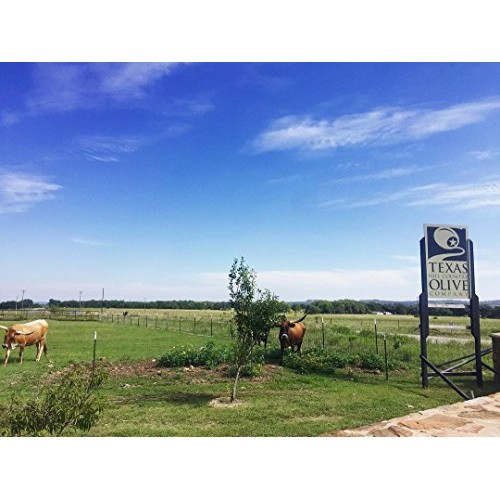 Balsamic Vinegar Combo 4 Pack 250Ml Each: Blackberry, Fig, Pea