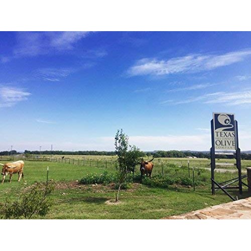 Texas Hill Country Olive Co Hatch Green Chile Infused Olive Oil