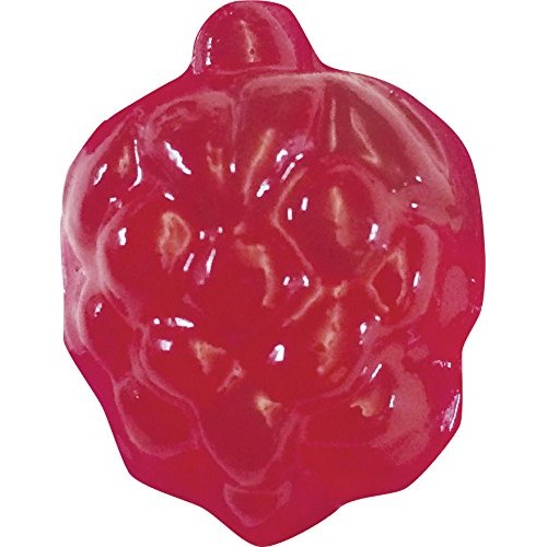 Thames &Amp; Kosmos Gummy Candy Lab - Bears, Fruit, Dolphins &Amp; Dinos