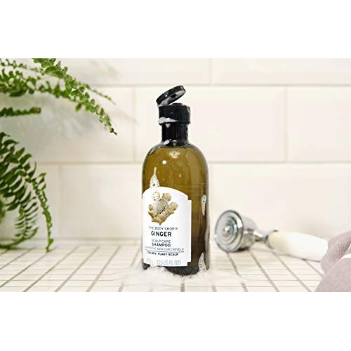 The Body Shop Ginger Scalp Care Shampoo, 8.4 Fluid Ounce The Body Shop Ginger Scalp Care Shampoo, 8.4 Fluid Ounce