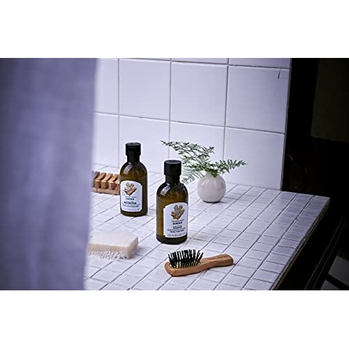 The Body Shop Ginger Scalp Care Shampoo, 8.4 Fluid Ounce The Body Shop Ginger Scalp Care Shampoo, 8.4 Fluid Ounce
