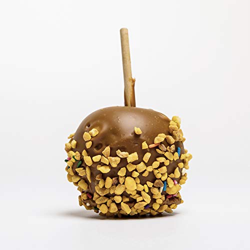 Peanut Brittle Crunch Coat Ice Cream Topping, Bulk Size 4 Ounce